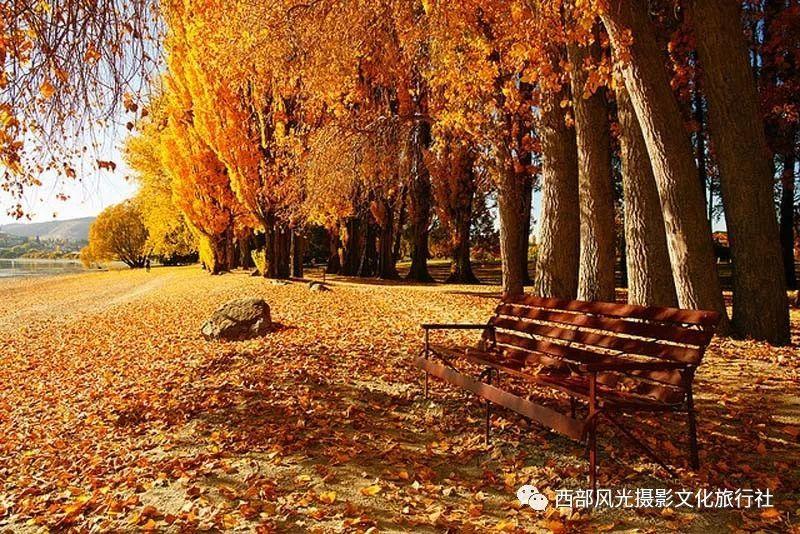 营救青少年