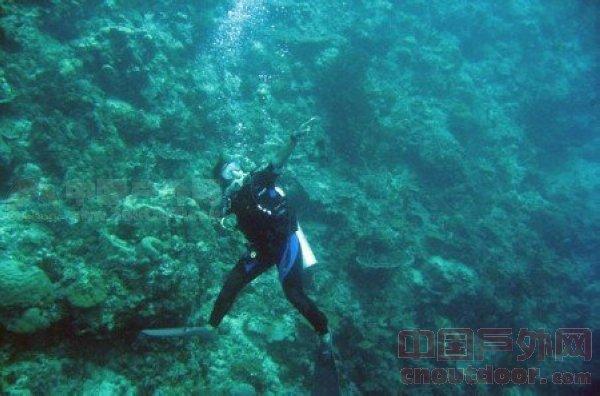 哈尔滨龙塔景区“飞天龙凤”首秀成功
