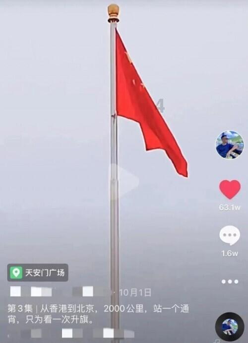植物大战僵尸15