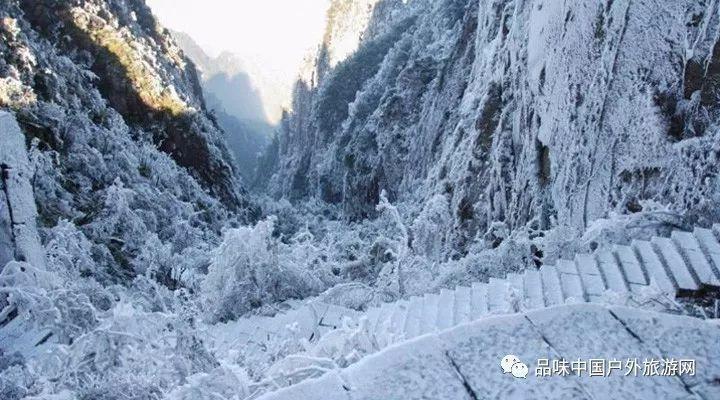 AI两会90秒 | 重庆两会大幕开启 政协成绩单出炉